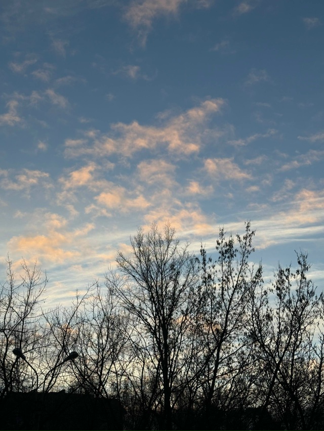 Утро в Видном🖤