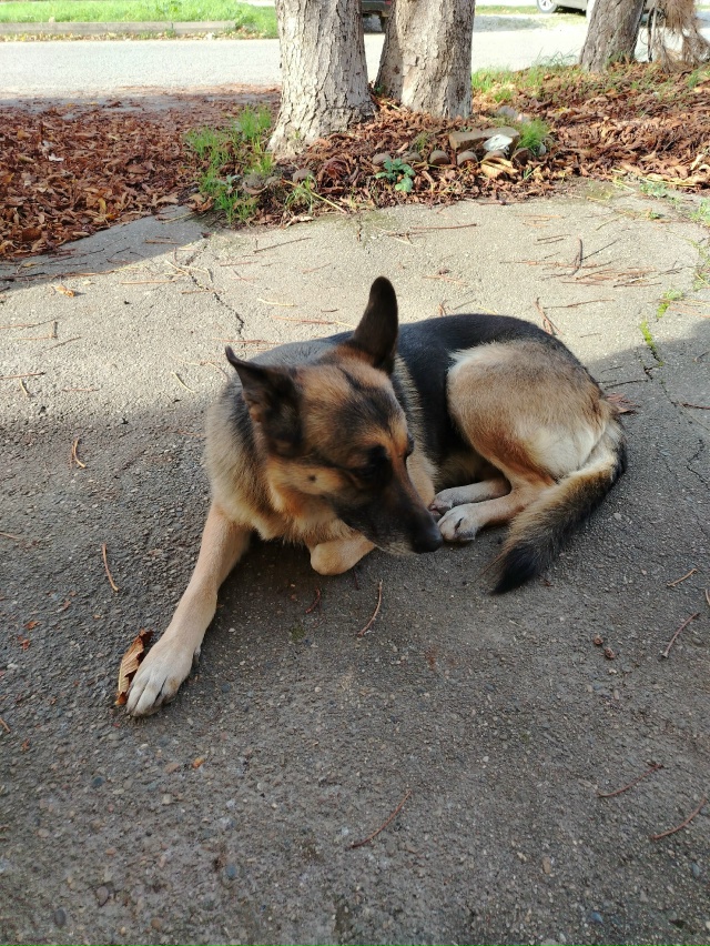 Кубанская - Интарнационаоьная, Возле парикмахерской 