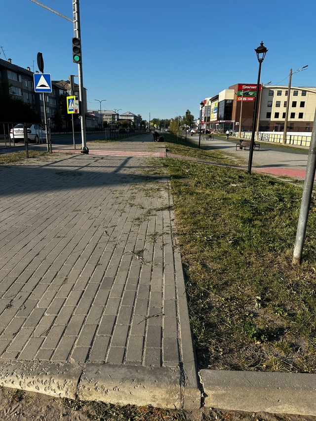 Кто там жаловался на нескошенную траву? Всё, довольны?
...
