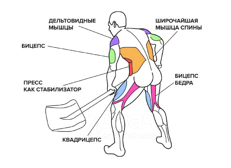 Уборка снега помогает быстро похудеть – за час уходит 550 калорий, рассказали эксперты
Это похоже н