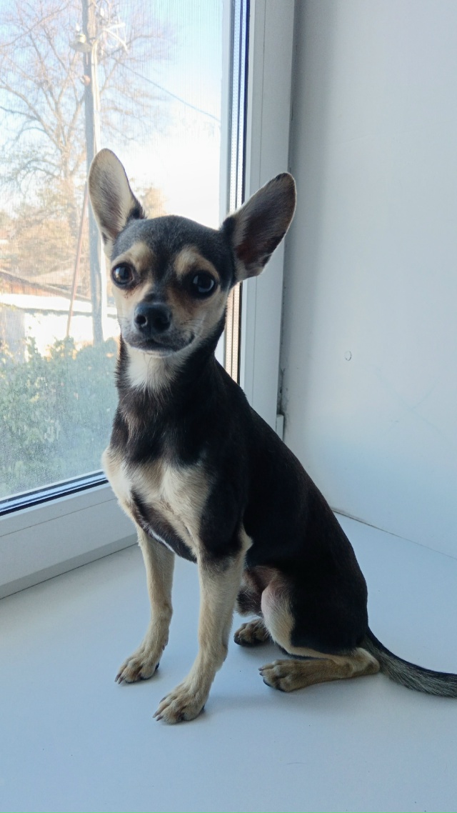 СРОЧНО!!!
3 октября
Помогите пожалуйста найти, сорвался...