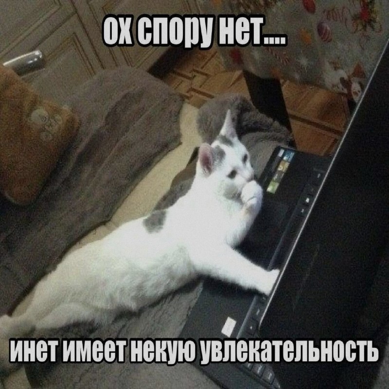 Утренняя подборочка