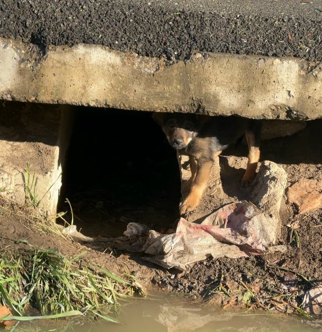 Добрый день
На пересечении улиц
Исполкомовская-Керче...