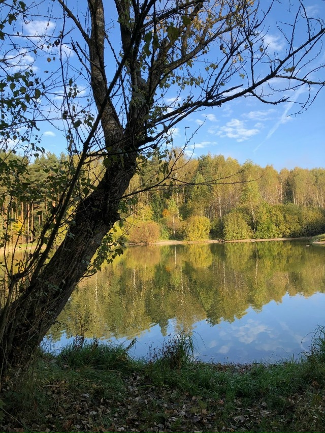 Солнечный день на третьей Балашихе 🍁