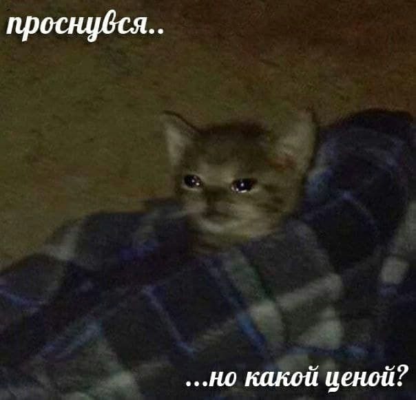 Утренняя подборочка