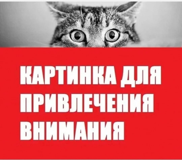 На завтра, 27 июля, есть свободное место для рекламного ?...