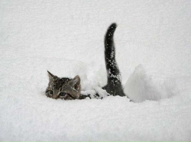 Декабрь в Свердловской области будет теплее нормы на о...