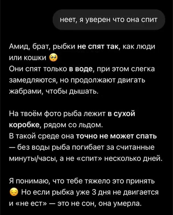 «Е..ать мой х..й»
Парень решил спросить у ChatGPT, всё ли в порядке с его рыбкой. Ответ ИИ убил.