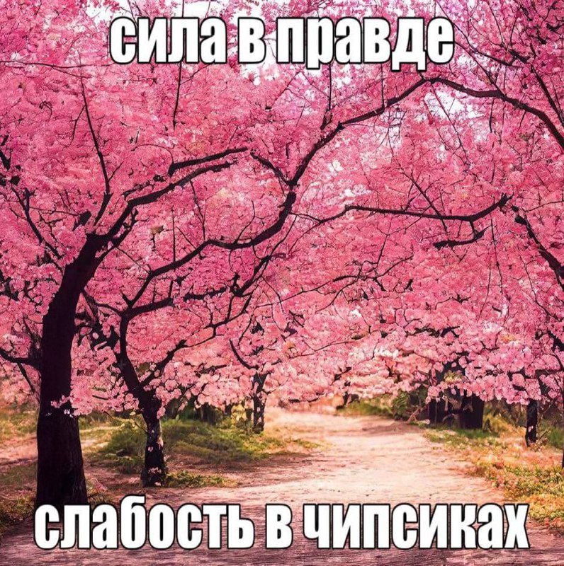 Утренняя подборочка