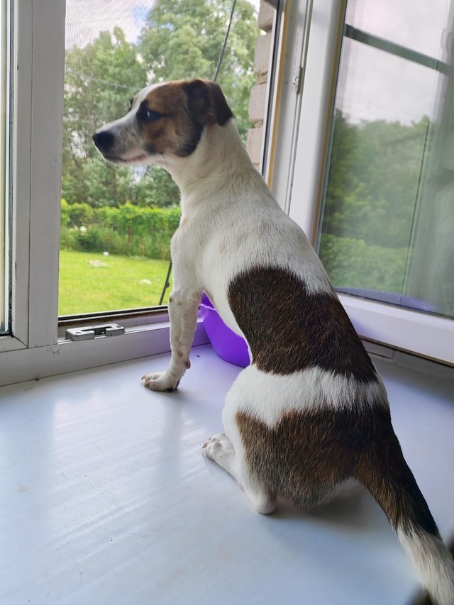 Помогаю информационно!!! Вчера вечером в деревне Прасл?...