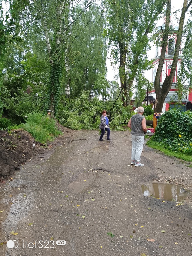 На ул Первомайская д. 1 упало дерево на проезжую часть д...