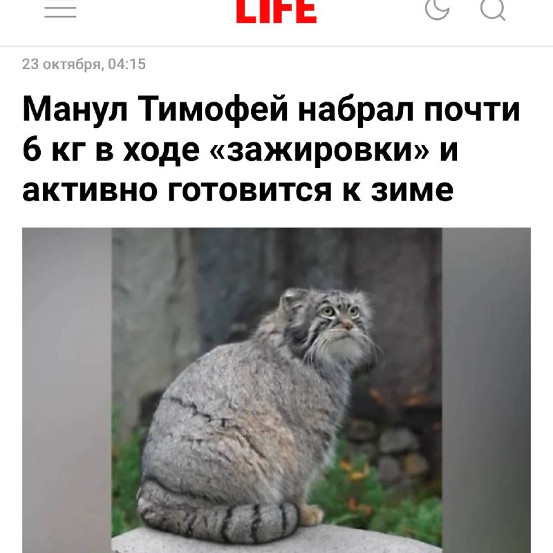 Настоящий московский подход к холодам 👍