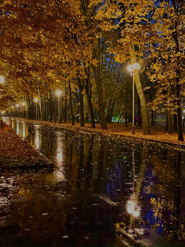 Дочь прислала фото, любуюсь...