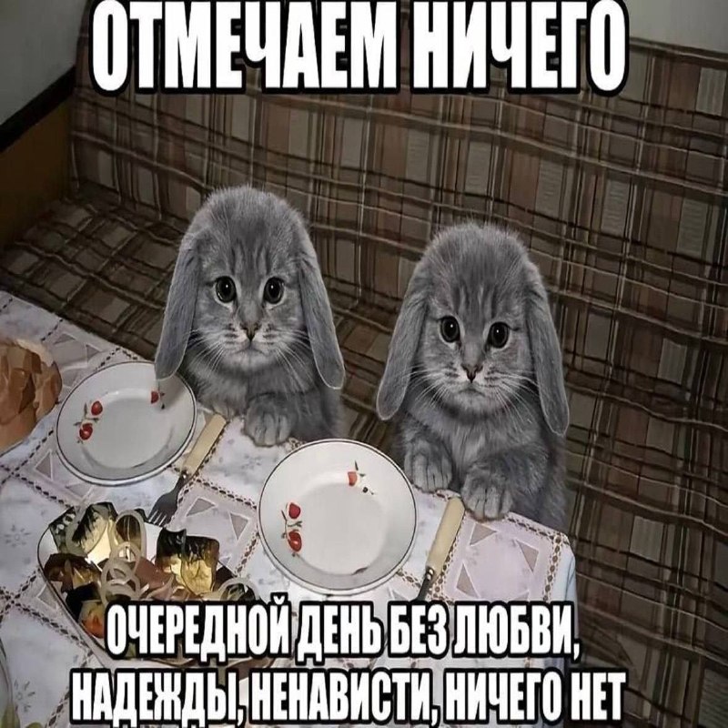 Утренняя подборочка