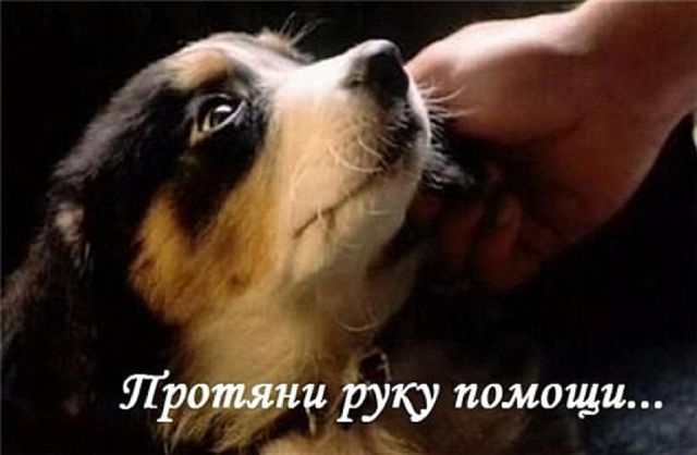 Друзья!
У нас срочный сбор!
ОЧЕНЬ НУЖНА ВАША ПОМОЩЬ!
К?...