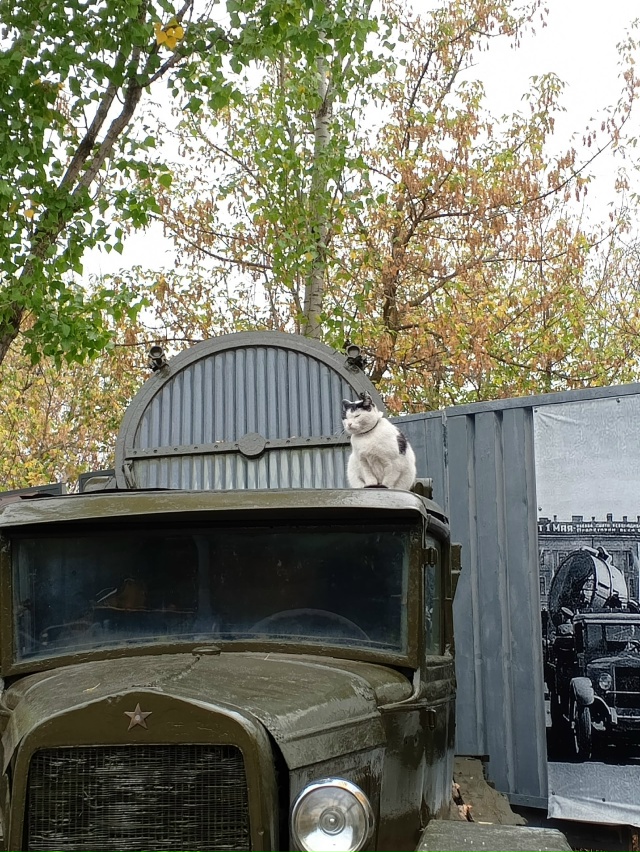 Саратов, парк Победы