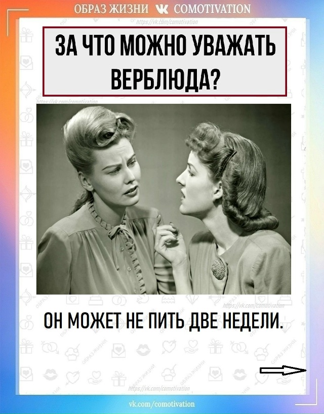 Ответы, которых вы не ждали, но точно запомните (9)