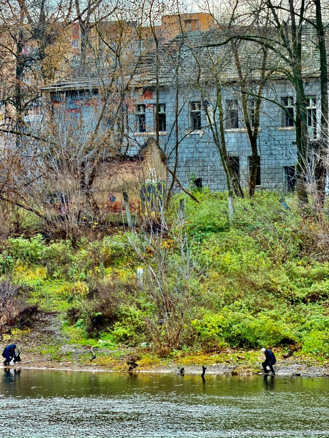 Осень в городе 🍂