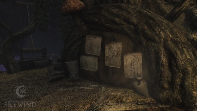 Авторы Skywind — фанатского ремейка Morrowind показали изменё...