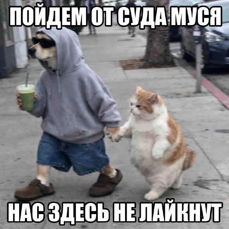 Утренняя подборочка