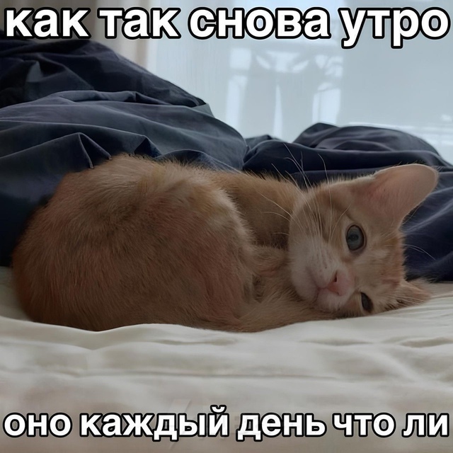 Почему так?