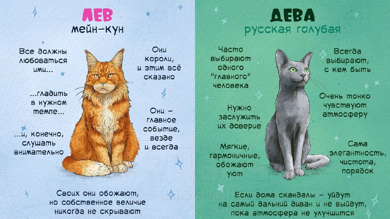 Российский астролог рассказал, какой вы кот по знаку зодиака
Ищем себя, кидаем друзьяшкам
