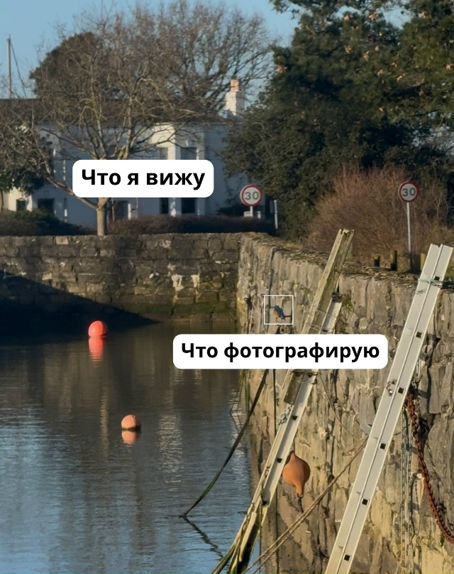 «Чтo я вижy / чтo я фoтoгpaфиpyю»
Потрясающе!