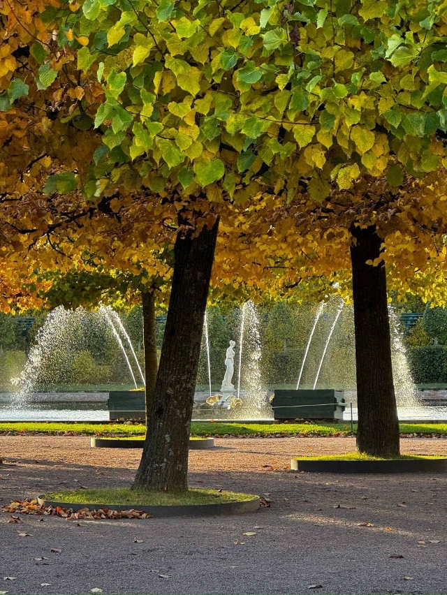 Осенняя атмосфера в Петергофе 🍁