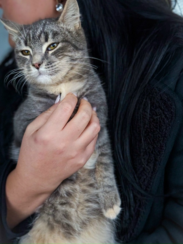 Здравствуйте. Срочно нужен дом котику. Он так и сидит н?...