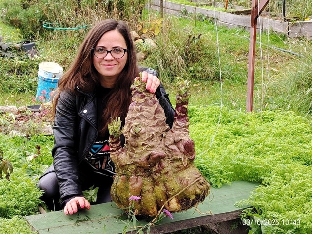 Жительница Рыбинска Ольга Догадаева, та самая, что уже ...