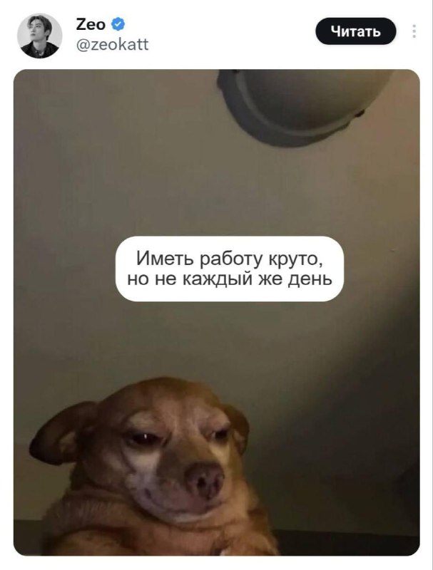 Типичные мысли в среду.