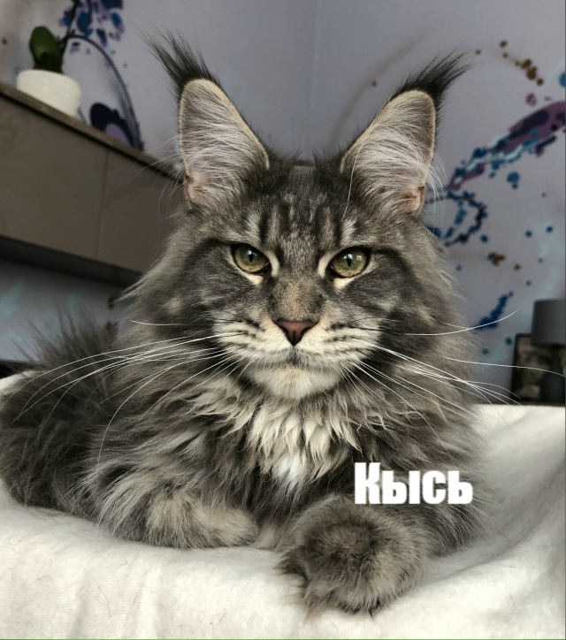 Какие они все-таки разные, но такие любимые?