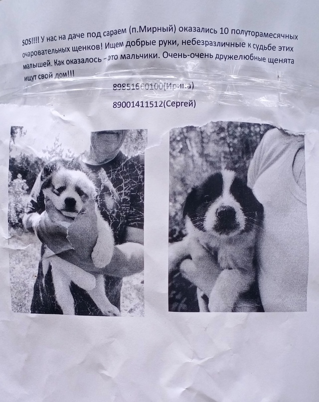 Здравствуйте! Помогаю информационно. В Протвино разве?...