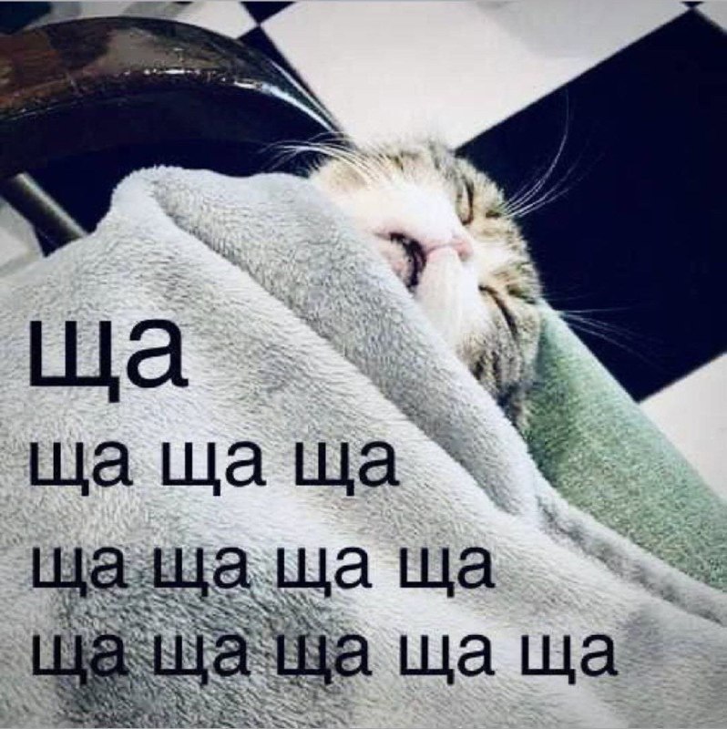я каждое утро: