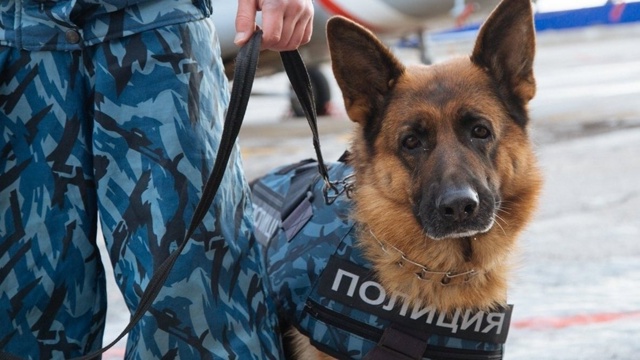 Путин подписал указ, позволяющий силовикам приобретат...