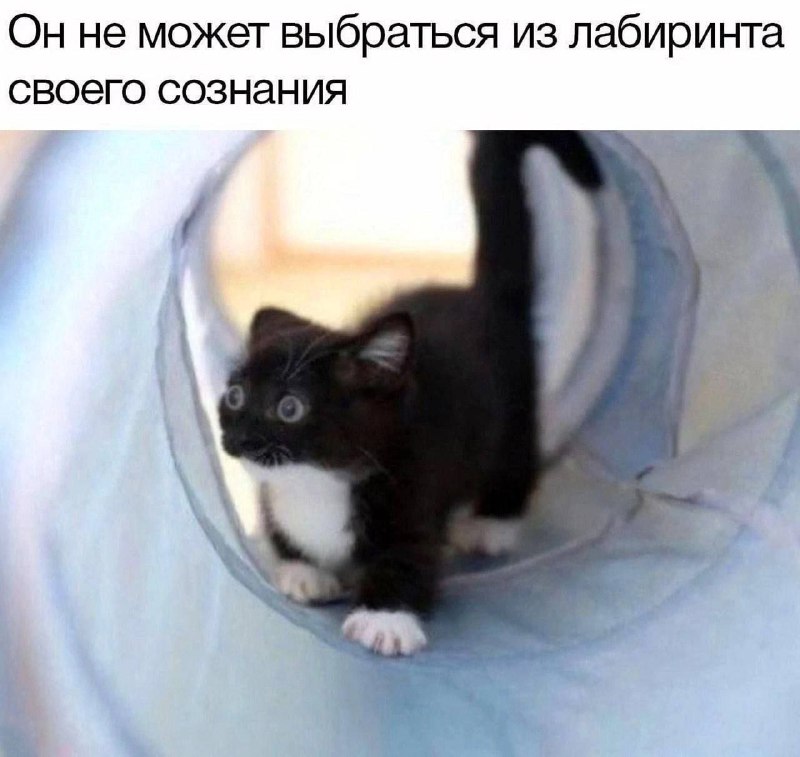 Утренняя подборочка