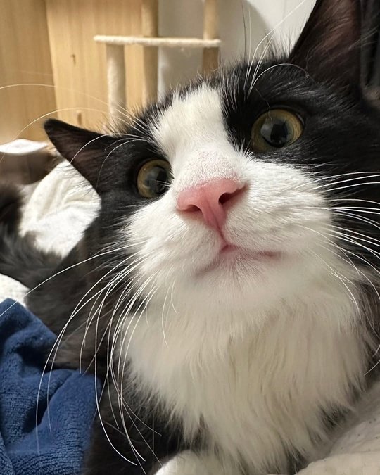 Как изменился малыш, которого я подобрал на улице… 🥺??...