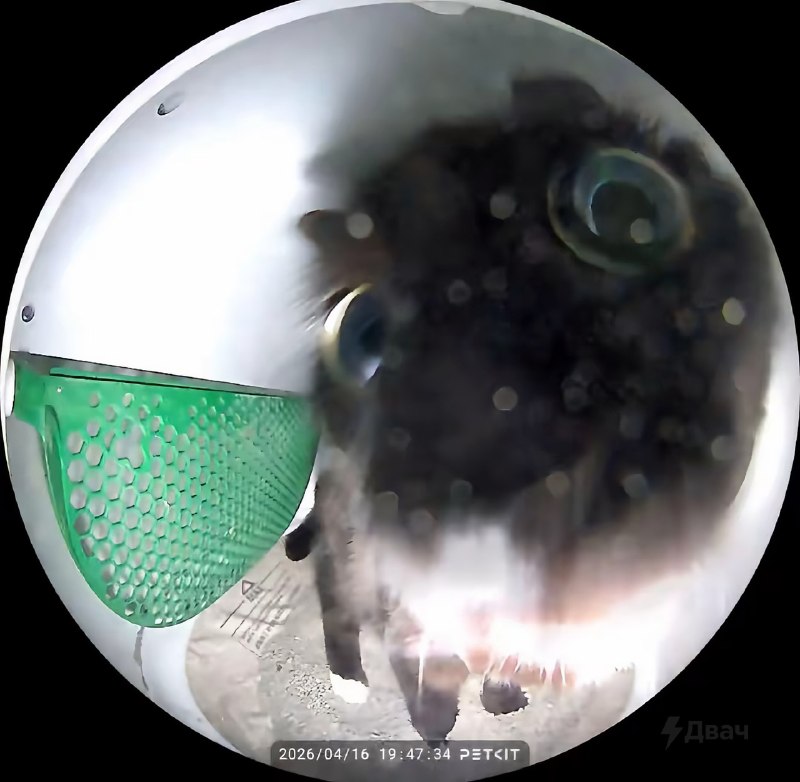 Вас заметили