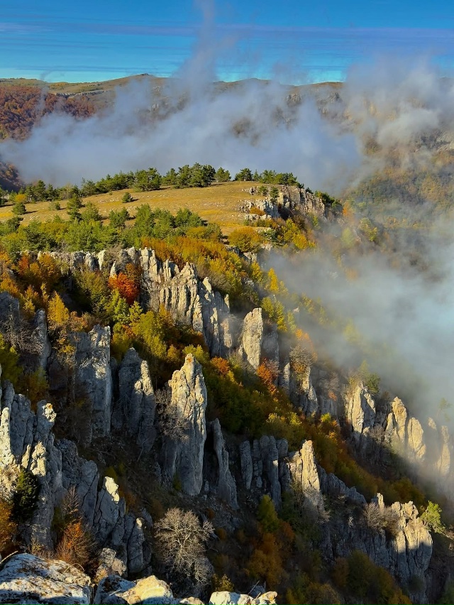 Перья Хапхала 🇷🇺
