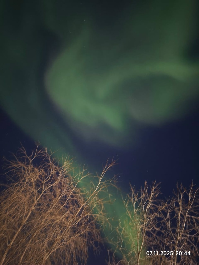 ❗ Ковров, родные люди!
Хочу поделиться красотой Ворку?...