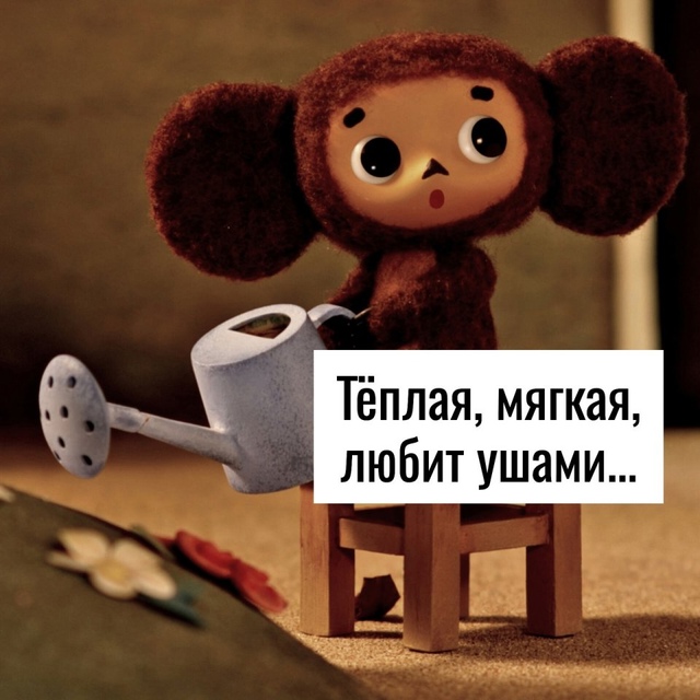 Вообще то так и есть😅