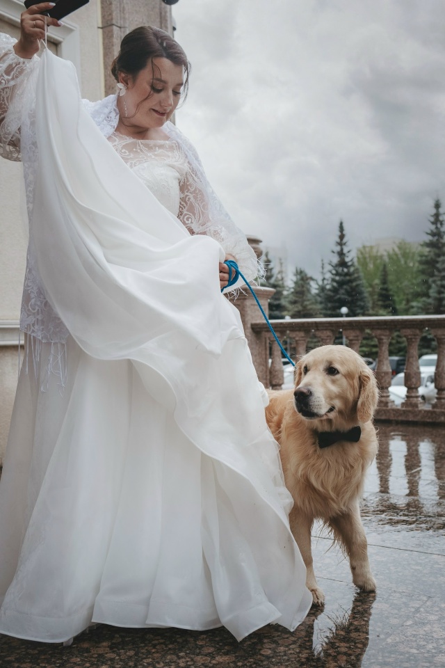 25.07.25
Мы и наш важный гость на свадьбе золотистый ретри?...