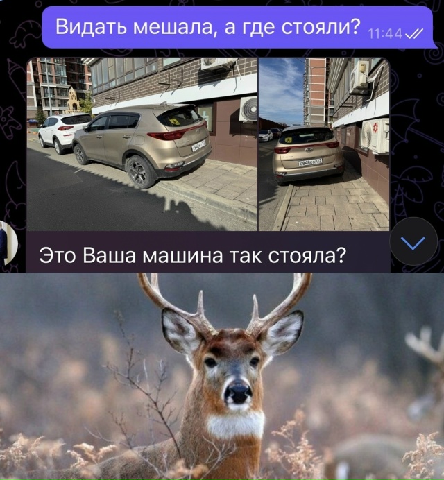 Когда думаешь, что все вокруг — злые, а оказывается… п?...