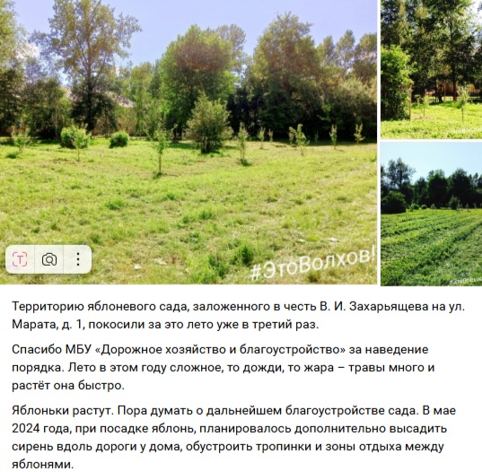 Территорию яблоневого сада покосили за это лето уже в ?...
