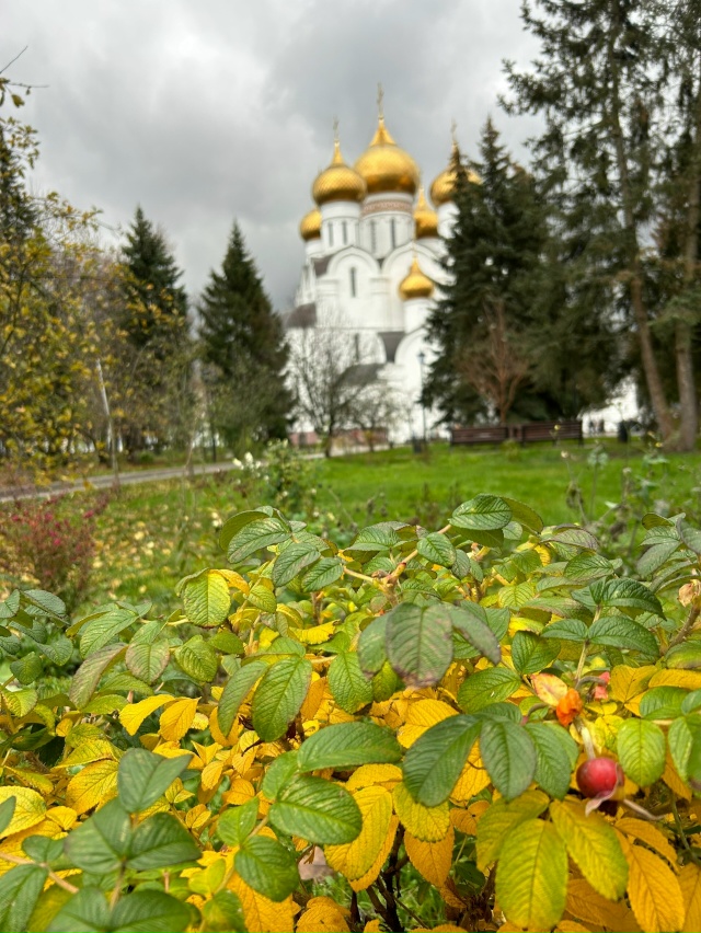 Осенняя прогулка 🍂 Ярославль ❤️