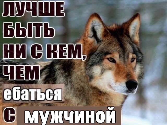 Я на второй день после того, как у меня закончилась овуляция и гормоны снова утихомирились до следую