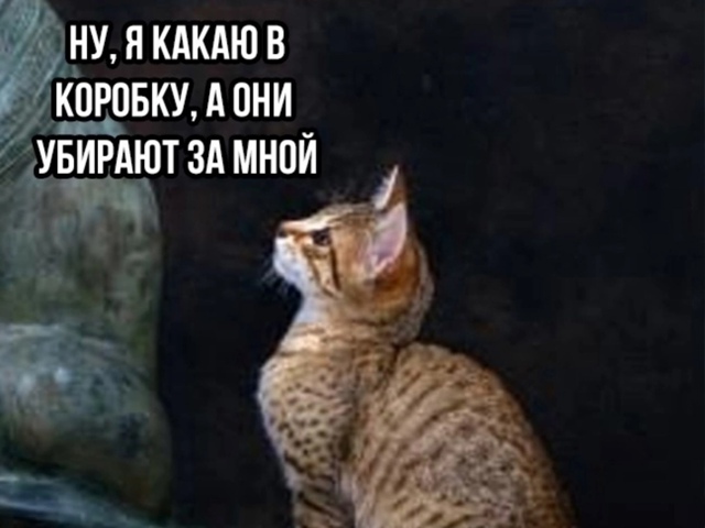 Всё идет как нужно