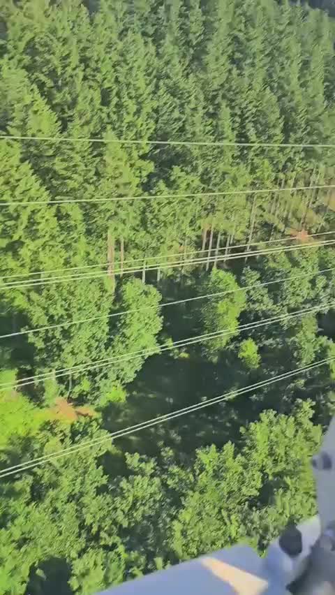 Страх пробрал до глубины! 😱