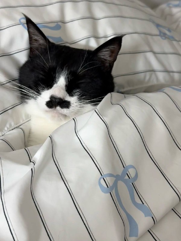 Наконец-то споть :3