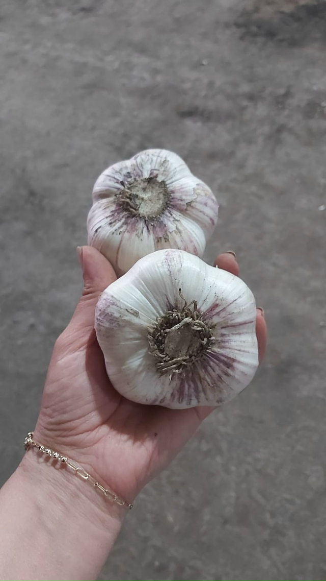 3 октября пятница, на продовольственной части рынка бу?...